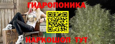 индика Кунгур