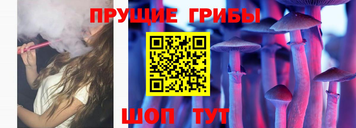Галлюциногенные грибы Psilocybe Туапсе